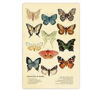 Butterflies & Moths Back Building Exercises Metal Tin Signs Fitness People Reference Guide Posters Gym Retro Instructional Plaques Home Room Living Room Wall Decor 12x16 inchses