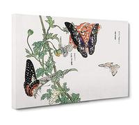 Butterflies on an Orange Flower by Morimoto Toko Canvas Print | Gallery Wrapped 30mm Frame Wall Art | 30x20 inches | Ready to Hang | Modern Floral Picture | Living Room Bedroom Lounge Office