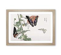 Butterflies on an Orange Flower by Morimoto Toko Framed Print | A2 Oak Framed Wall Art | Ready to Hang | Modern Floral Picture | Living Room Bedroom Lounge Office