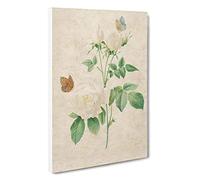 Butterflies & White Roses by Pierre-Joseph Redoute Canvas Print for Living Room Bedroom Home Office Décor, Wall Art Picture Ready to Hang, 30 x 20 Inch (76 x 50 cm)