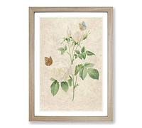 Butterflies & White Roses by Pierre-Joseph Redoute Framed Print | A2 Oak Framed Wall Art | Ready to Hang | Modern Nature Picture | Living Room Bedroom Lounge Office