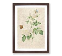 Butterflies & White Roses by Pierre-Joseph Redoute Framed Print | A2 Walnut Framed Wall Art | Ready to Hang | Modern Nature Picture | Living Room Bedroom Lounge Office