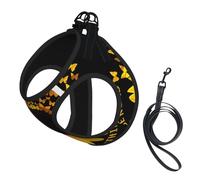 Butterfly And Sunflower Printing Dog Summer Harness With Leash Set,Adjustable And Reflective Step-In Puppy Pet Vest Harnesses