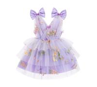 Butterfly Birthday Cake Smash Dress - Sleeveless V Neck Rainbow Princess Ruffle Tulle Tutu Dress - Toddler/Preschool Purple 3-4 Yrs