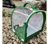 Butterfly Breeding Set for Children/Adults | Home Butterfly Breeding | and Butterfly Habitat Cage Terrarium Protection Cage | Caterpillar Breeding Small from 3 Years, Green