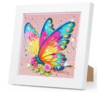 Butterfly Diamond Art with Framed