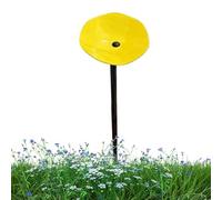 Butterfly Drinker,Water Tank For Pollinators - Multifunctional Bathing Station Beekeeping Bird Watching And Balconies Terraces And Gardens
