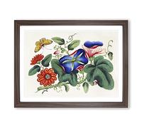 Butterfly & Flowers Vintage Framed Print | A3 Walnut Framed Wall Art | Ready to Hang | Classic Floral Picture | Living Room Bedroom Lounge Office
