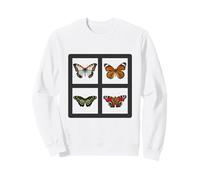 Butterfly Four Beautiful Butterflies Sweatshirt