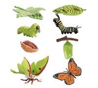 Butterfly Growing Kit, Comprehensive Life Cycle Set, Caterpillars and Butterflies, 8-Piece Educational Display, Biology Study Resources, Nature Observation Tools