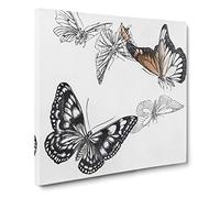 Butterfly Illustration by Morimoto Toko Canvas Print | Gallery Wrapped 30mm Frame Wall Art | 14x14 inches | Ready to Hang | Modern Animals Picture | Living Room Bedroom Lounge Office