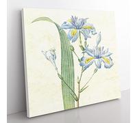 Butterfly Iris Flowers by Pierre Joseph Redoute Vintage Canvas Wall Art Print Ready to Hang, Framed Picture for Living Room Bedroom Home Office Décor, 50x50 cm (20x20 Inch)