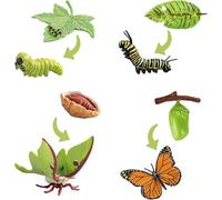 Butterfly Kits with Live Caterpillars, Butterfly Growing Kit, Educational Life Cycle Set, Luna Moth and Butterfly Growth Stages for Butterflies, Classroom Science Project Aids