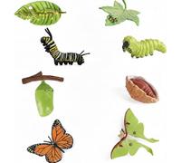 Butterfly Kits with Live Caterpillars, Caterpillar Toy, Educational Life Cycle Set, Luna Moth and Butterfly Growth Stages, Montessori Teaching Resources, Butterflies, Classroom Science Project Aids