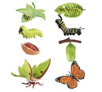 Butterfly Kits with Live Caterpillars, Educational Insect Growth Cycle Set, Plastic Animal Figures for Nature Study, Science Learning and Classroom Demonstrations