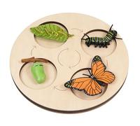 Butterfly Life Cycle Set - STEM Educational Puzzle Board - Preschool Science Teaching Aid & Learning Tool
