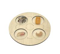 Butterfly Life Cycle Wooden Puzzle Board, Educational Toy For Preschool Metamorphosis Science, Aid Learning