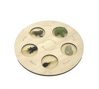 Butterfly Life Cycle Wooden Puzzle Board, Montessori STEM Educational Toy for Preschool Science, Metamorphosis Learning Aid for Toddlers, Nature Biology Teaching Tool, Classroom Science Kit Gift