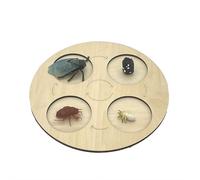 Butterfly Life Cycle Wooden Puzzle Board, Montessori STEM Educational Toy for Preschool Science, Metamorphosis Learning Aid for Toddlers, Nature Biology Teaching Tool, Classroom Science Kit Gift