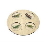 Butterfly Life Cycle Wooden Puzzle Board, Montessori STEM Educational Toy for Preschool Science, Metamorphosis Learning Aid for Toddlers, Nature Biology Teaching Tool, Classroom Science Kit Gift