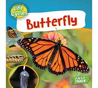 Butterfly (Life Cycles)