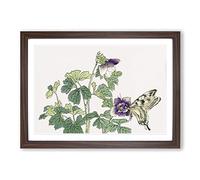 Butterfly on a Purple Flower by Morimoto Toko Framed Print | A2 Walnut Framed Wall Art | Ready to Hang | Modern Floral Picture | Living Room Bedroom Lounge Office