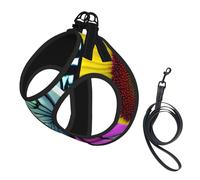 Butterfly On Daisy Flower Print Dog Harness,Pet Leash Vest For Small To Medium Dogs,Perfect For Outdoor Adventures