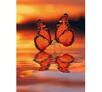 Butterfly Paint by Numbers for Adults with Frame, Large Paint by Number Canvas Kits, DIY Color Oil Painting Acrylic Paints with Brushes, Hobbies for Adults Women, Home Wall Decor Gifts 60x80cm J8-55