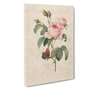 Butterfly & Pink Rose by Pierre-Joseph Redoute Canvas Print for Living Room Bedroom Home Office Décor, Wall Art Picture Ready to Hang, 30 x 20 Inch (76 x 50 cm)