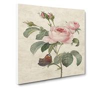 Butterfly & Pink Rose by Pierre Joseph Redoute Canvas Print | Gallery Wrapped 30mm Frame Wall Art | 20x20 inches | Ready to Hang | Retro Animals Picture | Living Room Bedroom Lounge Office