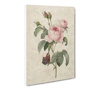 Butterfly & Pink Rose By Pierre Joseph Redoute Canvas Print | Gallery Wrapped 30mm Frame Wall Art | 30x20 inches | Ready to Hang | Retro Animals Picture | Living Room Bedroom Lounge Office