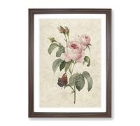 Butterfly & Pink Rose By Pierre Joseph Redoute Vintage Framed Print | A3 Walnut Framed Wall Art | Ready to Hang | Classic Floral Picture | Living Room Bedroom Lounge Office