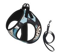 Butterfly Print Dog Harness Small Sized And Leash Set, Step In Soft Light Puppy Vest Breathable Mesh Pet Harness