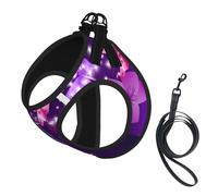 Butterfly Print Dog Harness Small Sized And Leash Set, Step In Soft Light Puppy Vest Breathable Mesh Pet Harness
