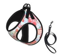 Butterfly Print Step in Dog Harness and Leash Set,Mesh Pet Vest Harness for Small Dogs and Cats