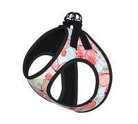 Butterfly Print Step in Dog Harness and Leash Set,Mesh Pet Vest Harness for Small Dogs and Cats