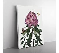 Butterfly & Rhododendrons By Robert John Thornton Vintage Canvas Wall Art Print Ready to Hang, Framed Picture for Living Room Bedroom Home Office Décor, 76x50 cm (30x20 Inch)