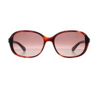 Butterfly Shiny Dark Havana Brown Gradient Izabella/G/S Kate Spade Brown One Size