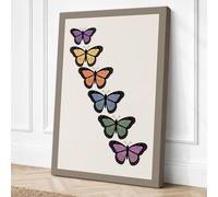 Butterfly Species Study Canvas Wall Art Print 30x20 Inch (76 x 51 cm)