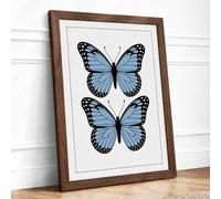 Butterfly Specimens Minimalist Framed Wall Art Print A4 (29.7×21cm)