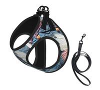 Butterfly Stone Print Pet Vest Harnesses Leash Set Reflective Puppy Vest Dogs Walking Training Dog Harness
