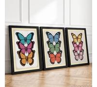 Butterfly Studies Botanical Set of 3 Framed Wall Art Prints A2