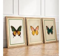 Butterfly Studies Botanical Set of 3 Framed Wall Art Prints A4