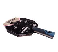 Butterfly Table Tennis Bat Ovtcharov Platinum Sports Training