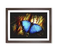 Butterfly Vol.7 Paint Splash Modern Art Framed Print | A3 Walnut Framed Wall Art | Ready to Hang | Modern Animal Picture | Living Room Bedroom Lounge Office