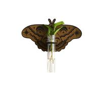 Butterfly Wall Mounted Breeding Station, Wooden Hanging Plant Holders, Indoor Plants with Plastic Tubes, A