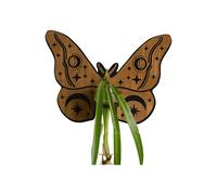 Butterfly Wall Mounted Breeding Station, Wooden Hanging Plant Stand, Plant Stand with Plastic Tubes, Hydroponic Plants A