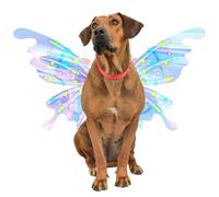 Butterfly Wings - 26 Inch Glowing Costume | PP Electric Wings - LED Light Up Accessory with Vibrant Design, these 400g create an enchanting look for girls at Halloween or stage performances.
