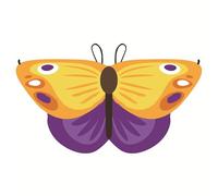 Butterfly Wings Costume for Kids, Rainbow Cape Cloak with Adjustable Straps - Perfect for Halloween, Cosplay, Birthday Parties & Dress-Up Play, Soft & Comfortable Fancy Dress for Girls