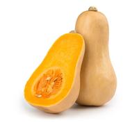 Butternut Squash x 10 pack